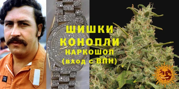 мдпв Осташков