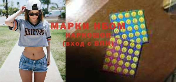 мдпв Осташков