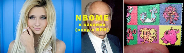 мдпв Осташков