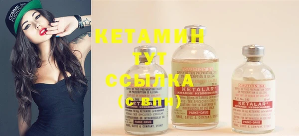 трава Няндома