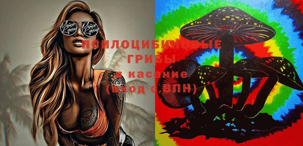 синтетический гашиш Осинники