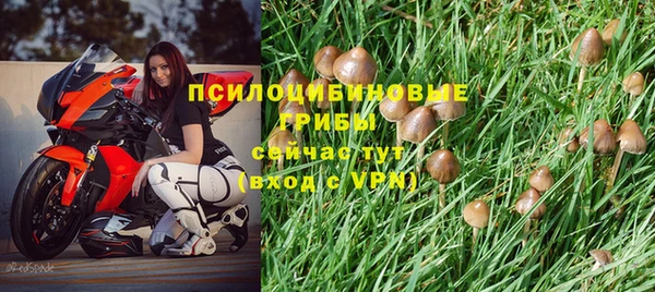 соль курить ск Нязепетровск