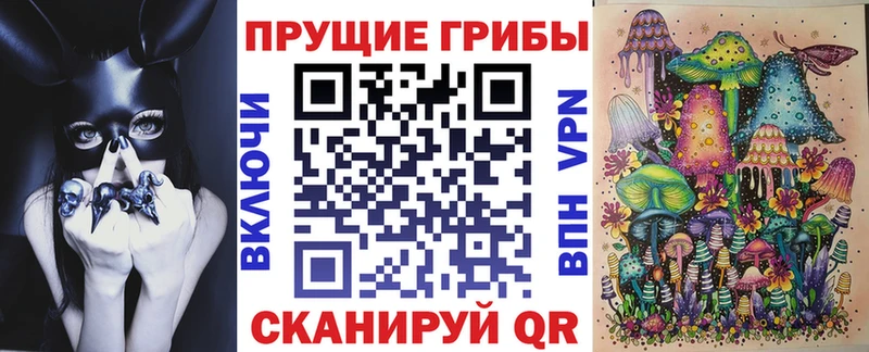 купить закладку  Порхов  Псилоцибиновые грибы ЛСД 